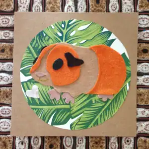 Guinea Pig Greetings Card